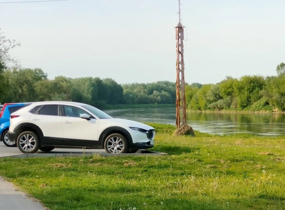 Mazda CX-30 cena 102500 przebieg: 31500, rok produkcji 2021 z Wąsosz małe 154